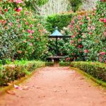 fort-worth-botanic-garden